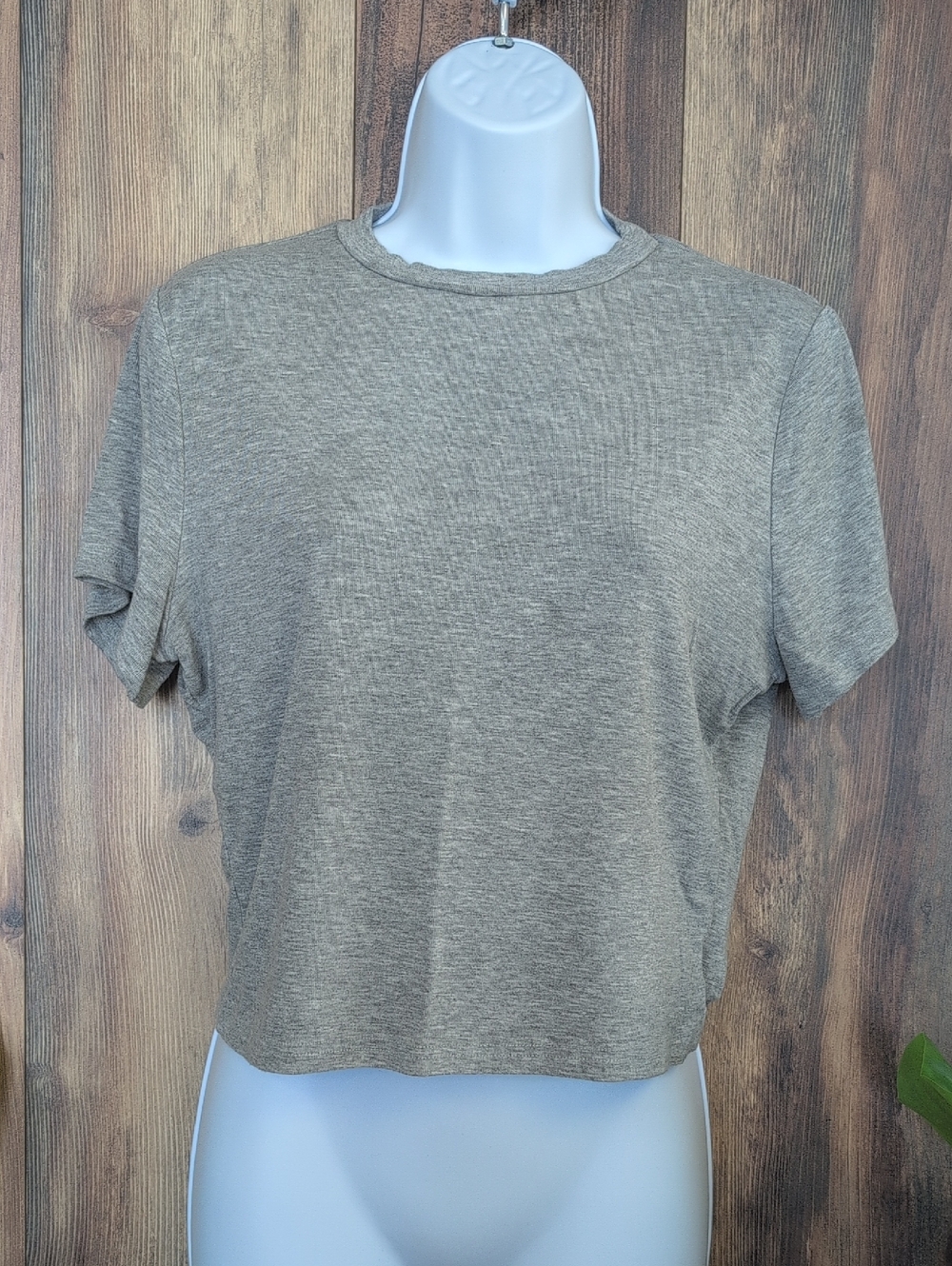 Everyday Crewneck Gray Crop Tee XL                        F250